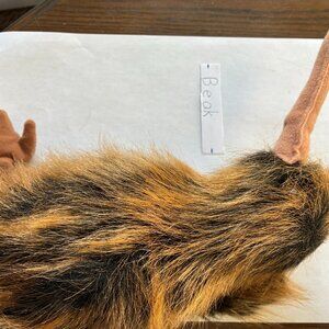 Beak the Kiwi Bird Ty product is about 5-6 inches long, and is brown and green.